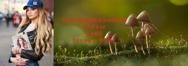 ПСИЛОЦИБИНОВЫЕ ГРИБЫ Бородино
