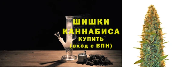 индика Приозерск