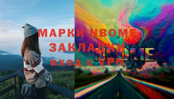 ПСИЛОЦИБИНОВЫЕ ГРИБЫ Бородино